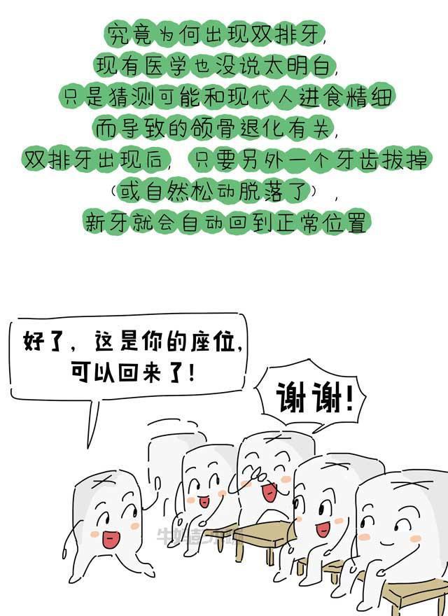 乳牙？恒牙？六龄牙？科普牙齿的那些事【漫画】