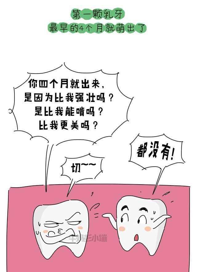 乳牙？恒牙？六龄牙？科普牙齿的那些事【漫画】