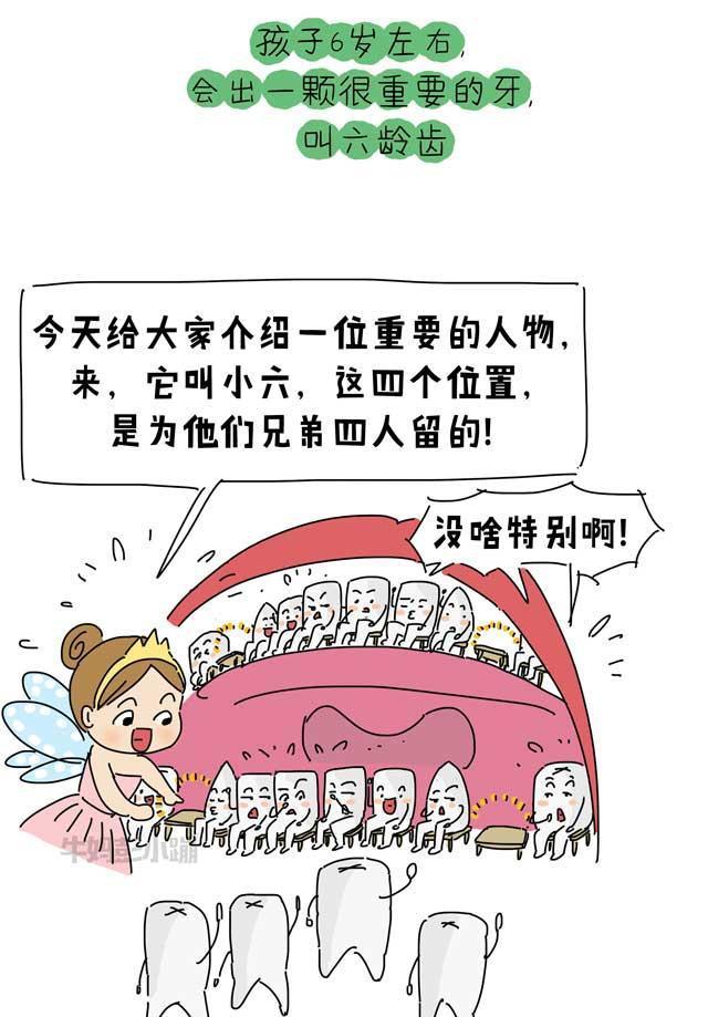 乳牙？恒牙？六龄牙？科普牙齿的那些事【漫画】