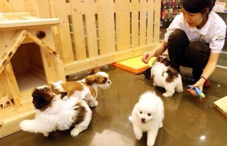 盘点那些鲜为人知的小本创业项目，火爆的创业项目来袭！