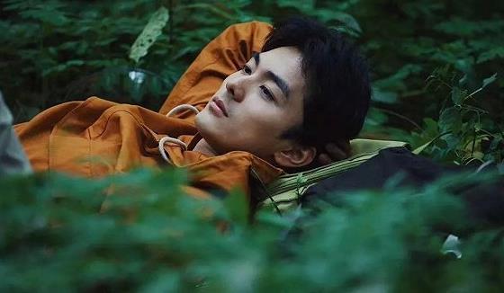 《郊区的鸟》：南方系的灵性与自由