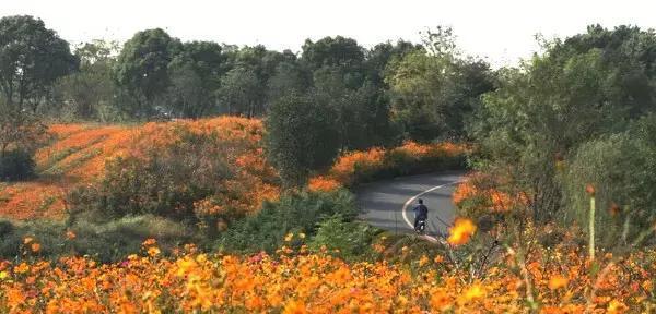 高淳慢城大山村，每一家农家乐都有滋有味