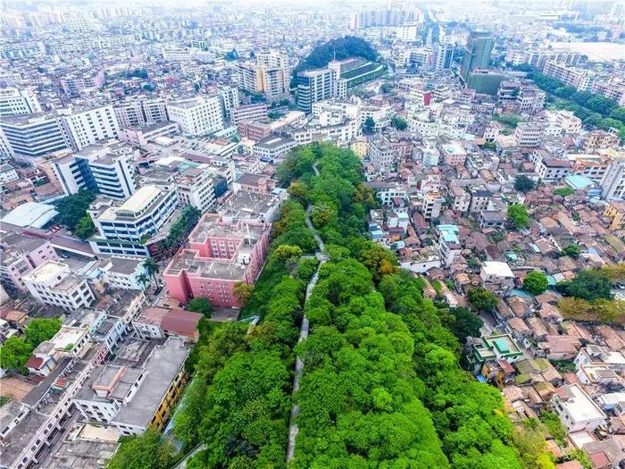 顺德大良华盖山栈道，繁华闹市的“绿肺”