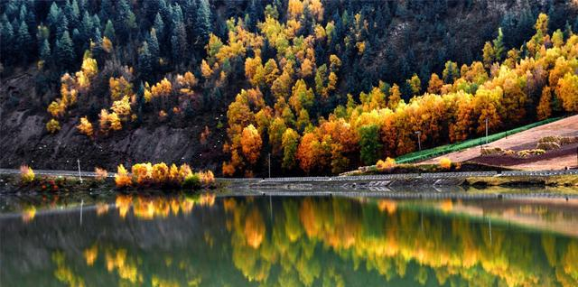 宁安同城快餐群加qq