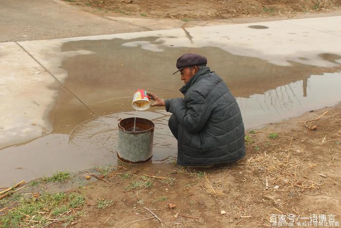 70岁老人用地面积水浇灌树苗，称“身为农村人就该知道节约用水”