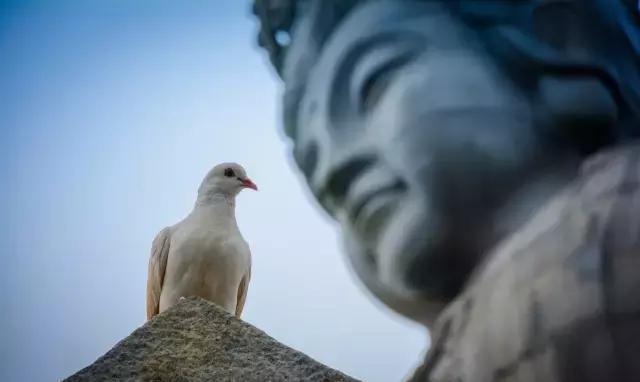 实拍, 东莞观音山观音菩萨那慈祥的面容