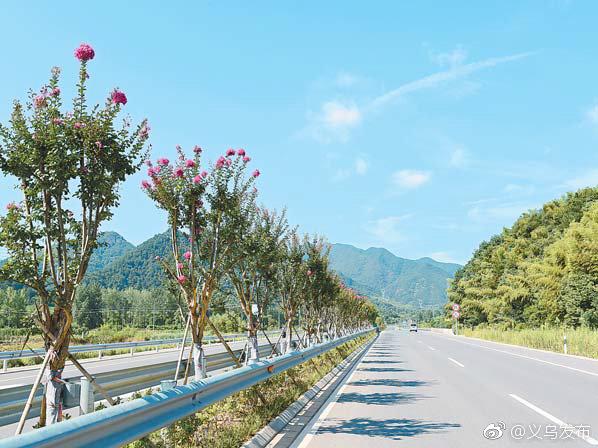 从机耕路到沥青路，从两车道到双向六车道——义乌乡村公路的发展变迁