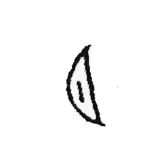月字为何半边圆，“人”字一侧面束腰为显瘦