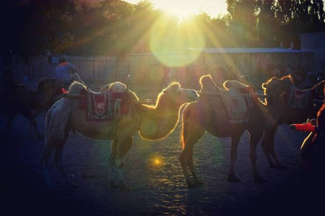 未满十八岁禁止涉足的地方之西北温柔乡