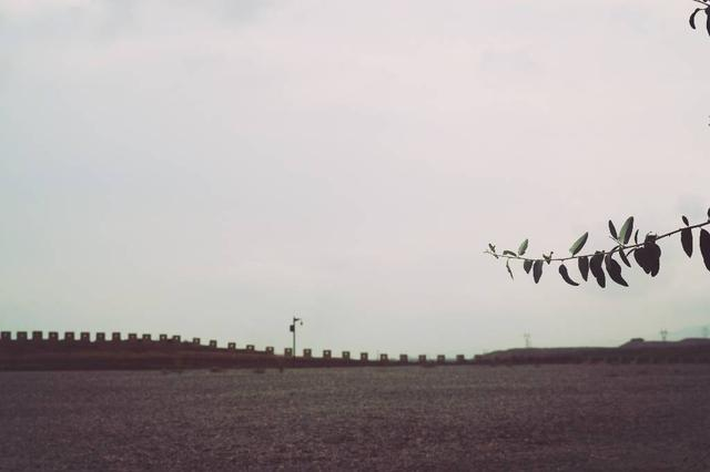 未满十八岁禁止涉足的地方之西北温柔乡