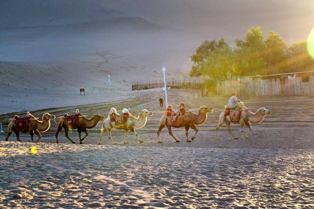 未满十八岁禁止涉足的地方之西北温柔乡