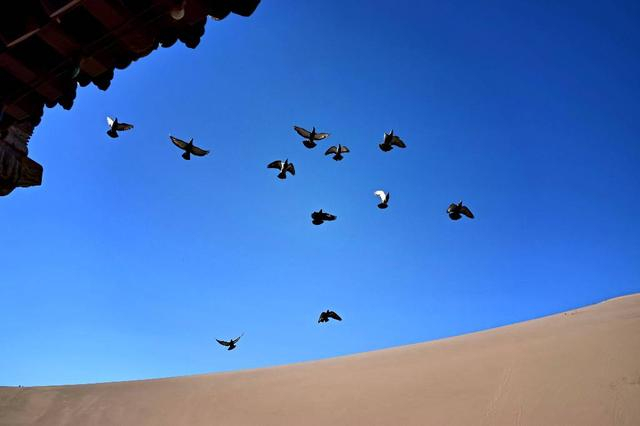 未满十八岁禁止涉足的地方之西北温柔乡