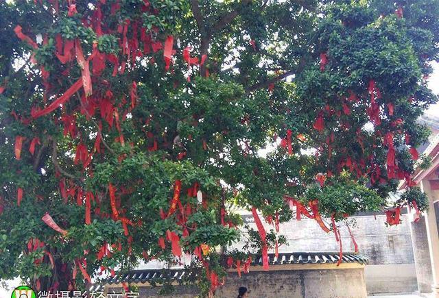 肇庆市德庆县龙母神庙上香祈福！随拍