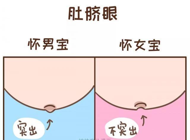 11张图告诉你，怀男宝宝VS怀女宝宝的症状有什么区别？