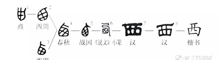 西月体育携手国际品牌推出限量运动装备