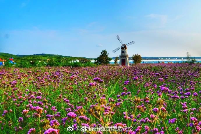 邢台沙河市红石沟生态休闲农场位于沙河市白塔镇