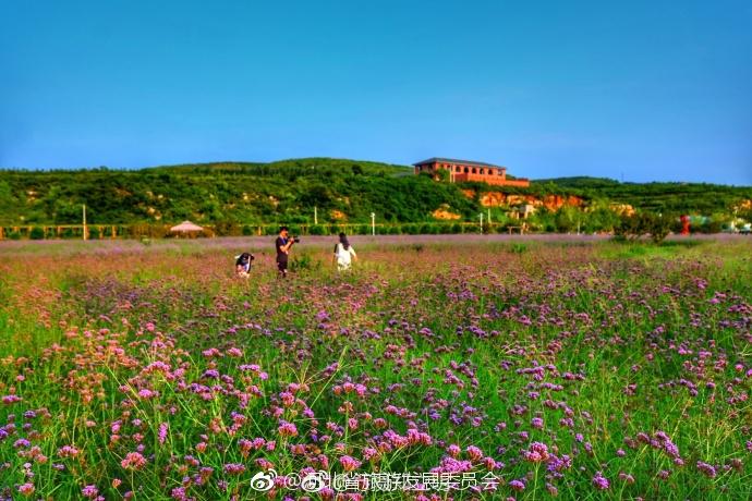 邢台沙河市红石沟生态休闲农场位于沙河市白塔镇