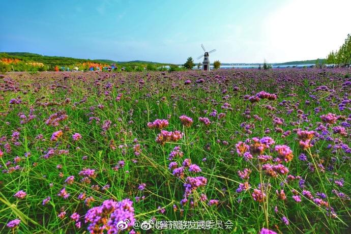 邢台沙河市红石沟生态休闲农场位于沙河市白塔镇