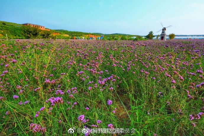 邢台沙河市红石沟生态休闲农场位于沙河市白塔镇