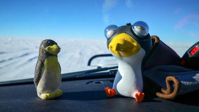远途心路 | 在南极，男男之间的那些事，竟把震哥恼火了！
