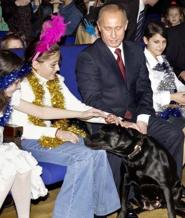 铁血总统普京和他的那些狗狗