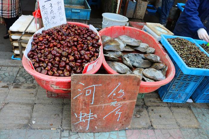 来吧，跟我逛逛江南水乡的集市，看看哪一款美食让你流口水？