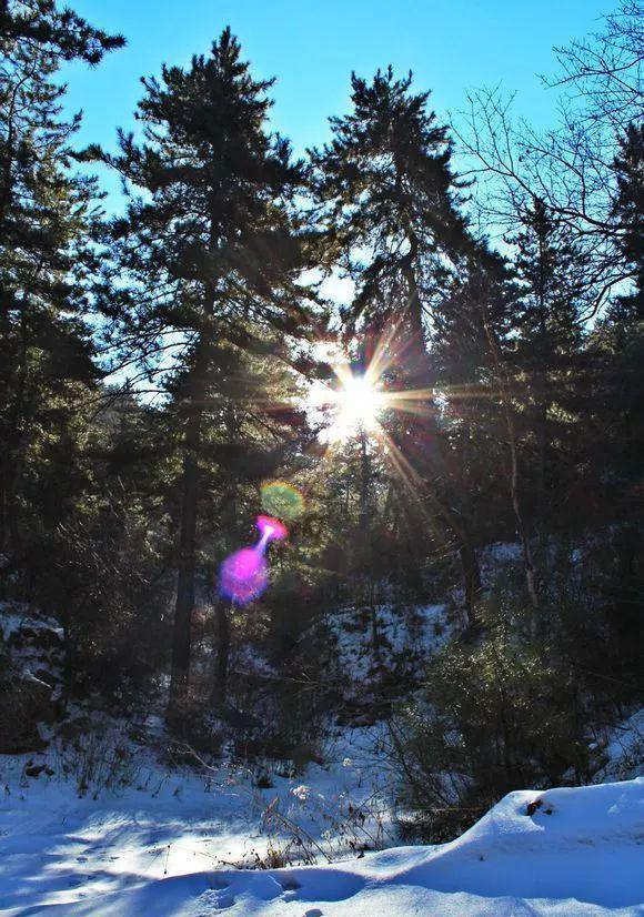 榆次老城、常家庄园……晋中旅游攻略——榆次篇