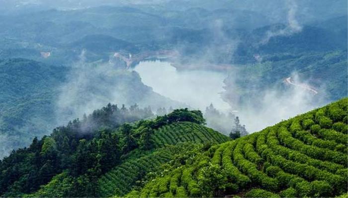 河南固始县四个值得一去的旅游景点，看看有你喜欢的吗？