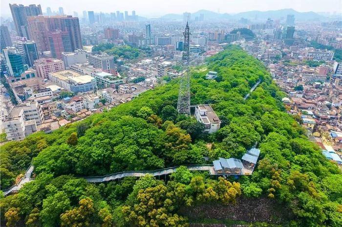 顺德大良华盖山栈道，繁华闹市的“绿肺”