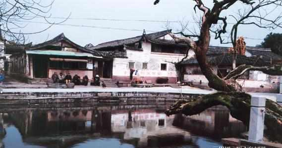 当事人讲述：鄞州区小巷子到底有什么魅力？本地人带你挖掘隐藏玩法