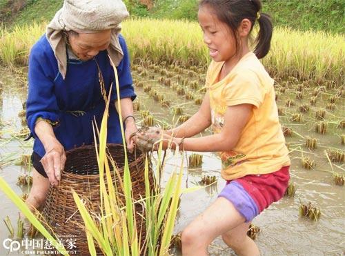 女华侨远渡重洋，扎根乡村30年，如今年近80仍在坚持，为了什么？