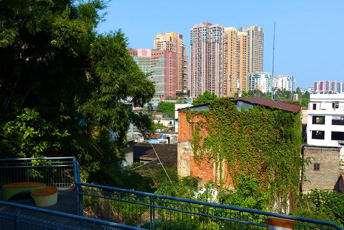 顺德大良华盖山栈道，繁华闹市的“绿肺”