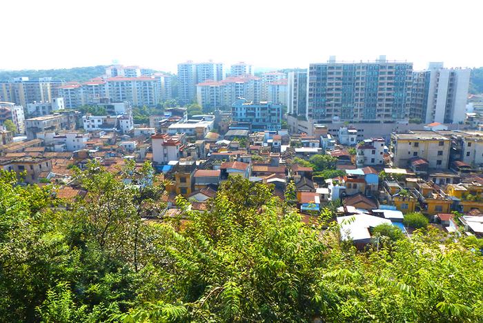 顺德大良华盖山栈道，繁华闹市的“绿肺”