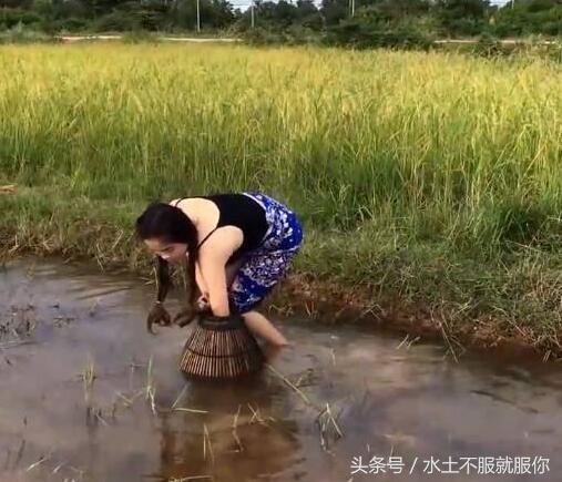 幽默笑话：老外感慨：中国人素质真高，连农村人都会英语