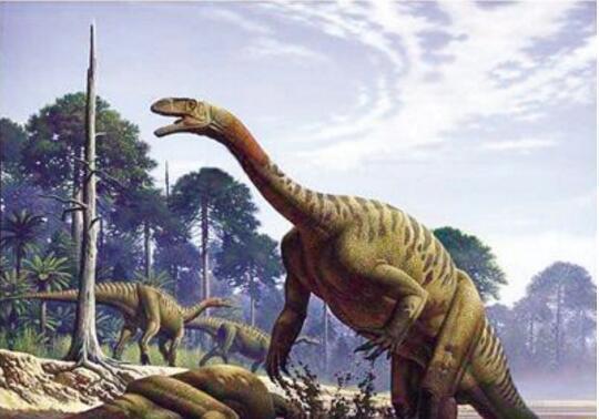 巨型恐龙到底有多大? 地震龙比蓝鲸还要长