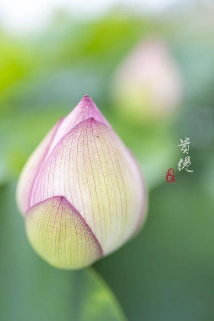 究竟要花多少钱的钱