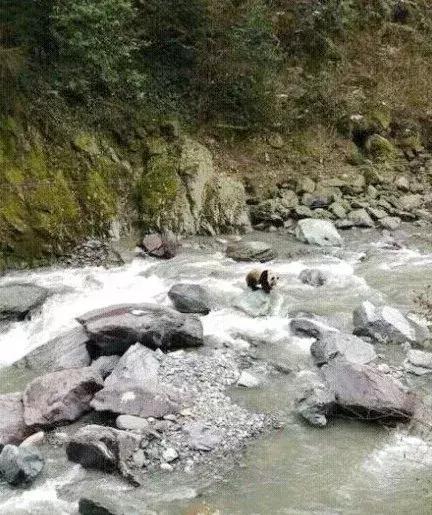 耍水露营寻清凉！去周边这6处胜地，逃离30℃+的成都！