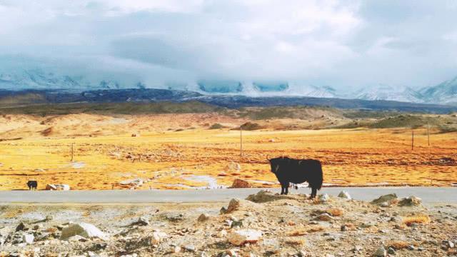 吉利帝豪挑战世界十大危险公路之一喀喇昆山