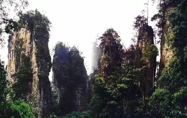 绥阳十二背后,贵州又一个世界级景区，纯正中国山地旅游代表