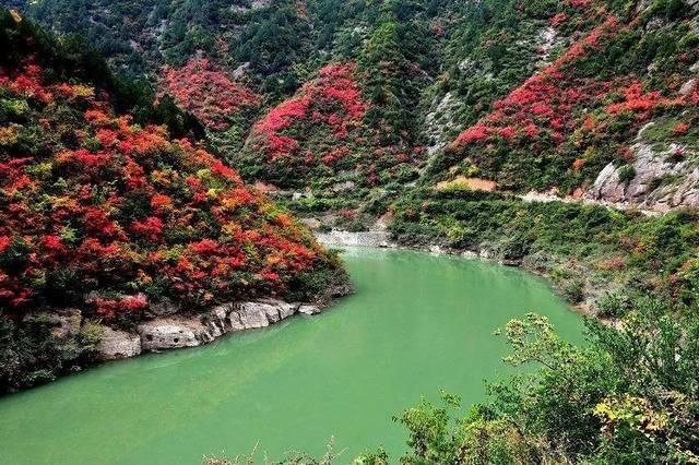 秦岭五条最美景观大道，自驾秦岭甩弯路，感受层林尽染视觉盛宴！