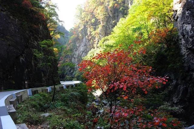 秦岭五条最美景观大道，自驾秦岭甩弯路，感受层林尽染视觉盛宴！