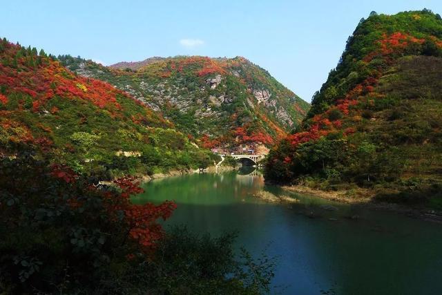 秦岭五条最美景观大道，自驾秦岭甩弯路，感受层林尽染视觉盛宴！