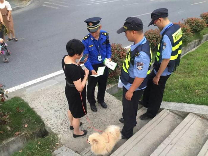 动真格本周四起，杭州将严查不拴绳、无证养犬等行为！最高罚1万