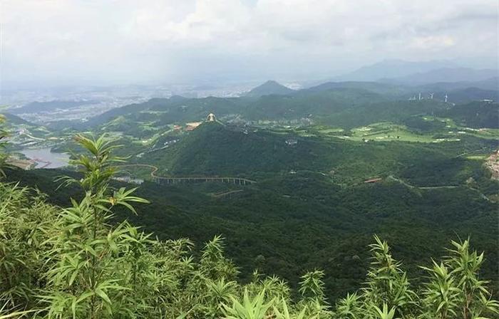 深圳最值得去的80个地方，看到第一个就想出发了！