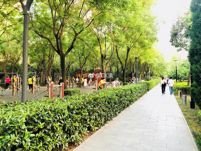 延平门广场：闹市区的幸福林带