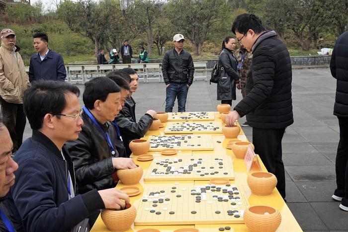 百里杜鹃百盘争艳 女子围甲毕节站指导棋