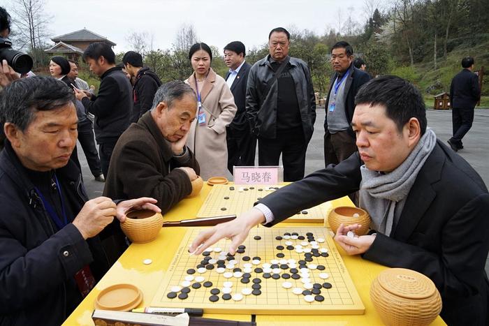 百里杜鹃百盘争艳 女子围甲毕节站指导棋