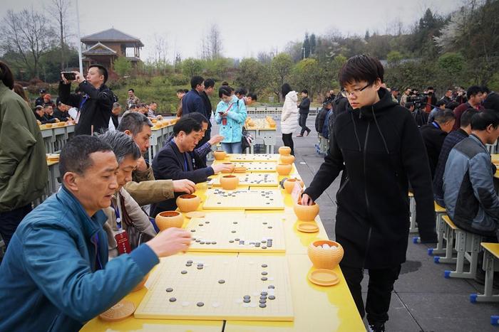 百里杜鹃百盘争艳 女子围甲毕节站指导棋