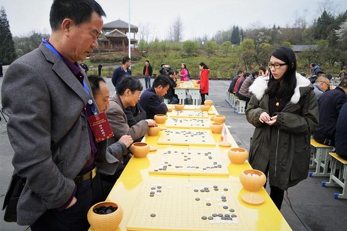 百里杜鹃百盘争艳 女子围甲毕节站指导棋