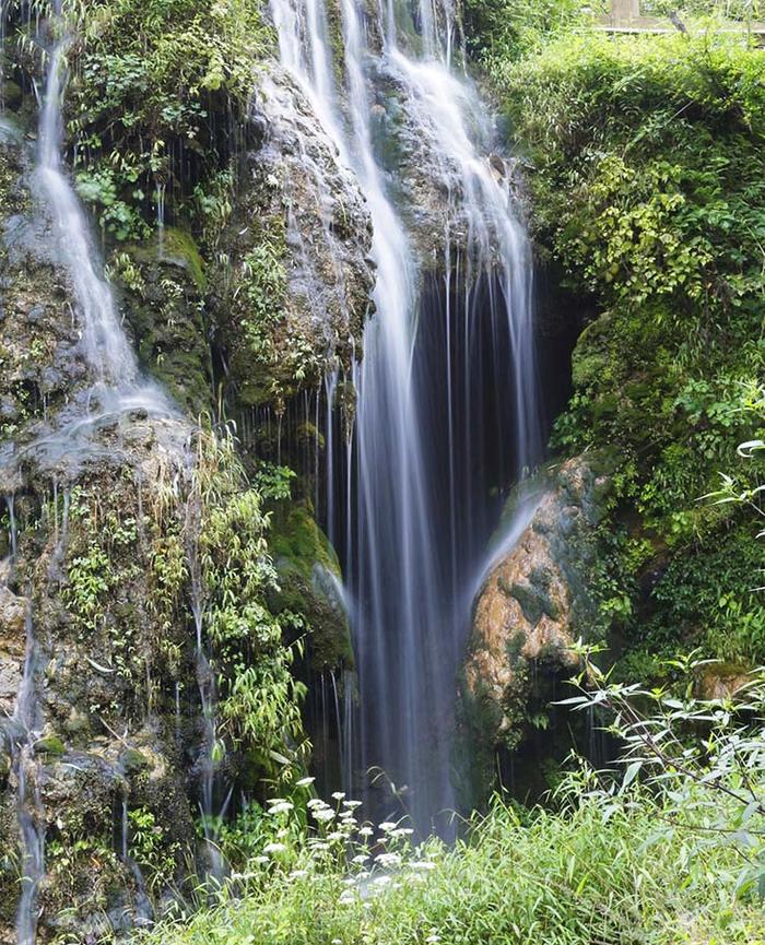 沕沕水生态风景区不仅能欣赏美景还能让你增加知识